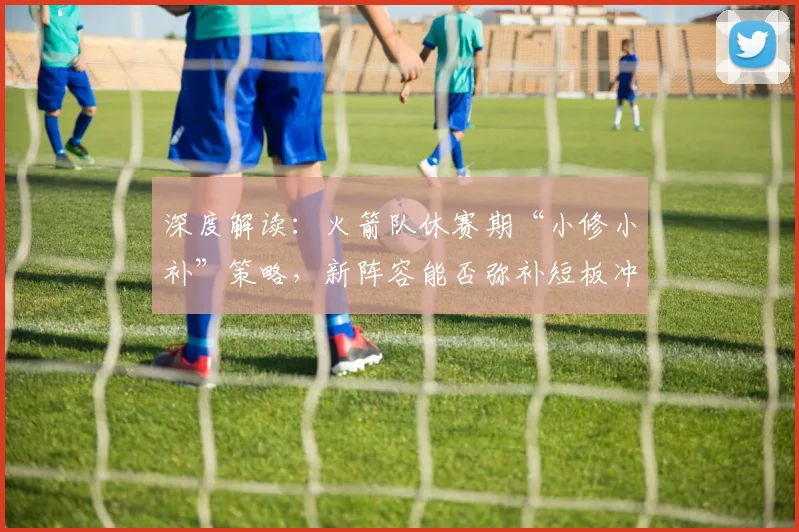 深度解读：火箭队休赛期“小修小补”策略，新阵容能否弥补短板冲击更高目标？